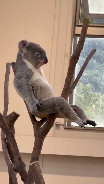 Какой серьезный мужчина