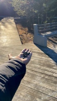 Кормлю птичек 😍