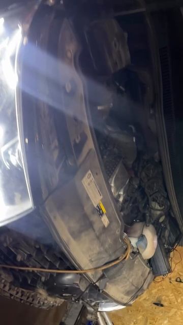 VW T6.1 откл. EGR