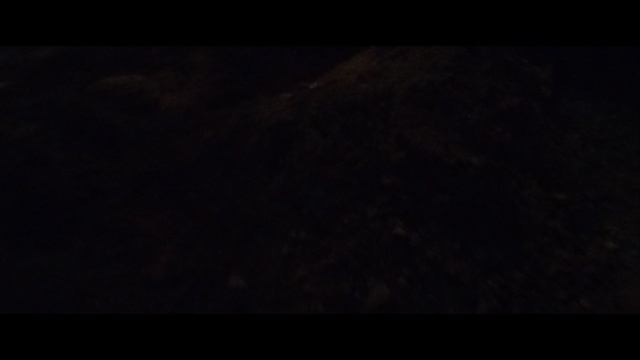 Мы идём гулять с собакой! | 11-авг-2024