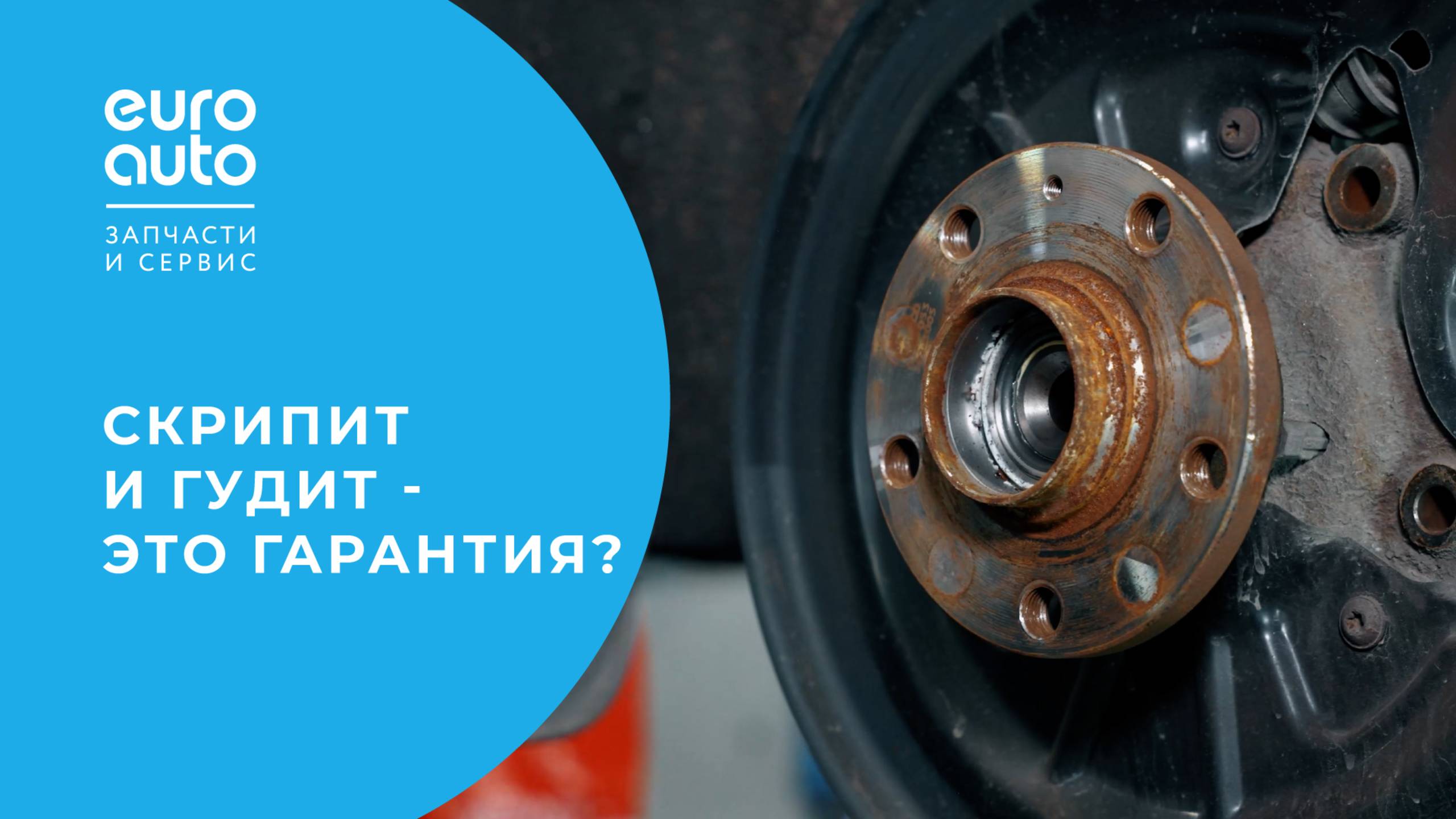 Колодки скрипят. Меняем по гарантии?