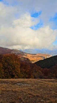 Разбросала осень краски в Крыму