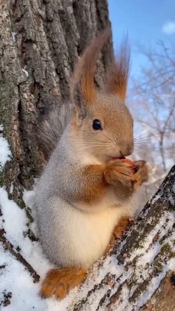 Сделайте хорошее самочувствие своей ежедневной привычкой!