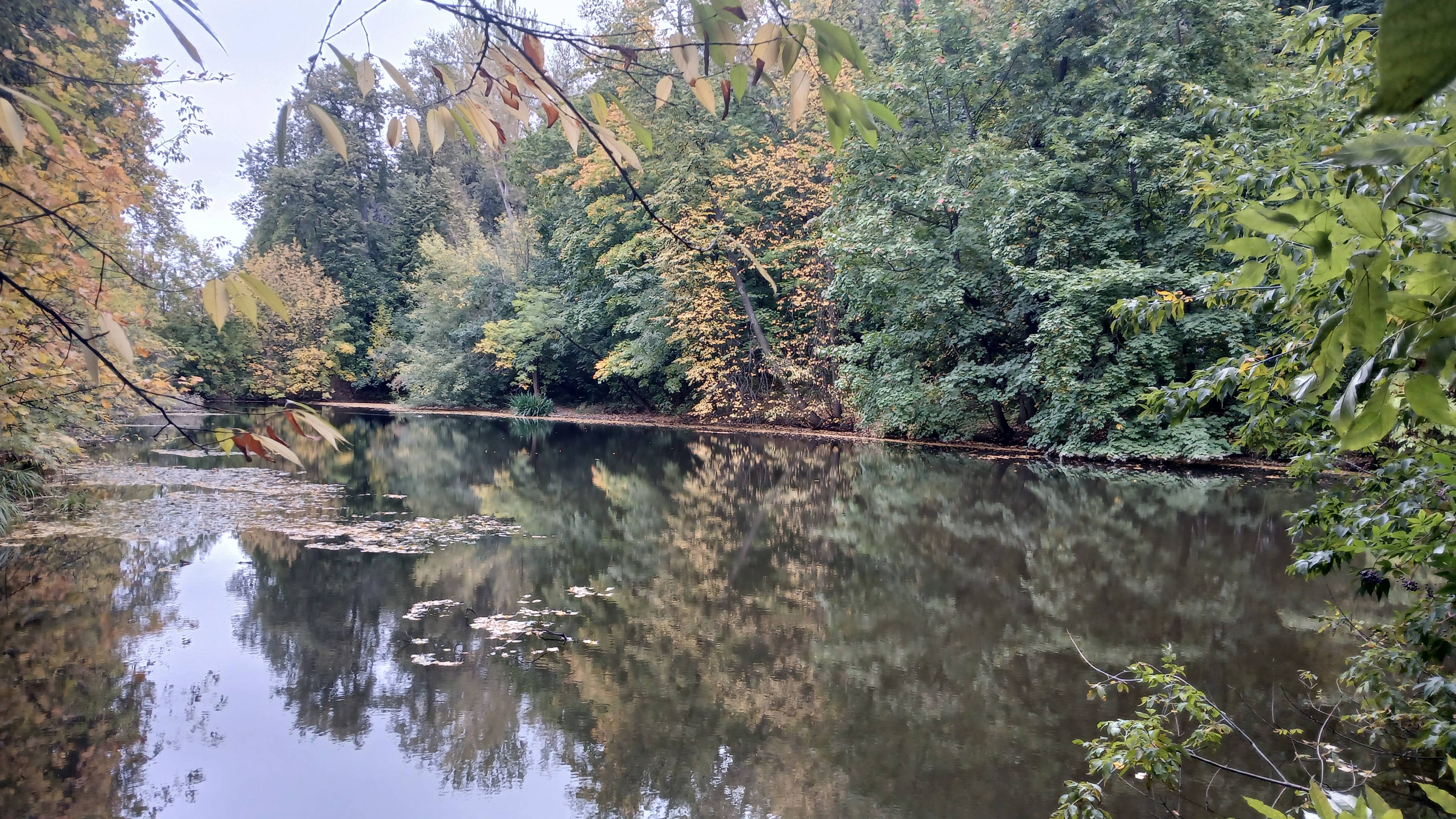 ВОРОБЬЕВЫ ГОРЫ.  ПРУД. ОСЕНЬ