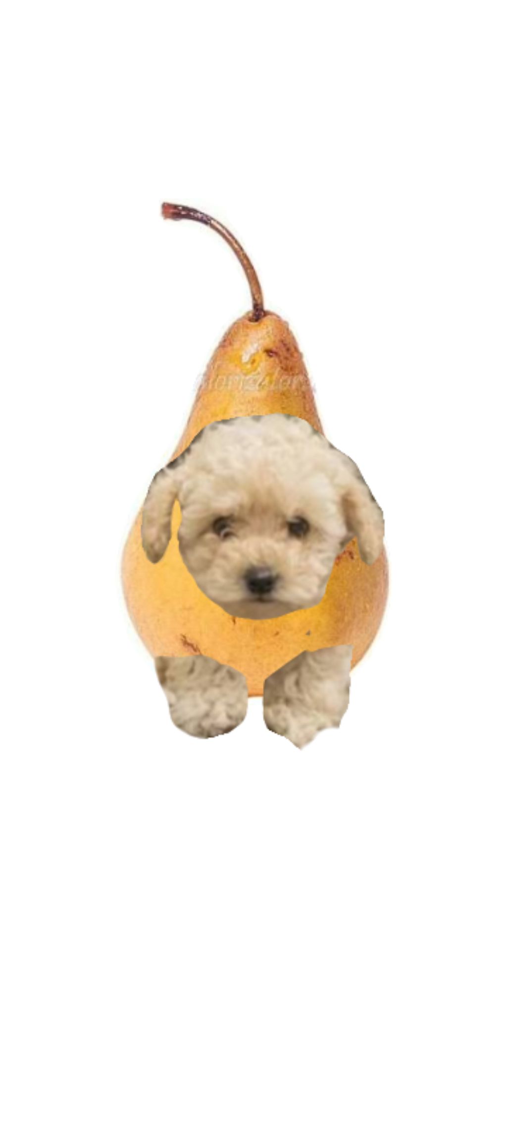 разговорный стрим! заходи!