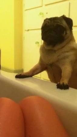 Ремонт - сантехника. Полный процесс монтажа - установки ПВХ ванны в "пристык"