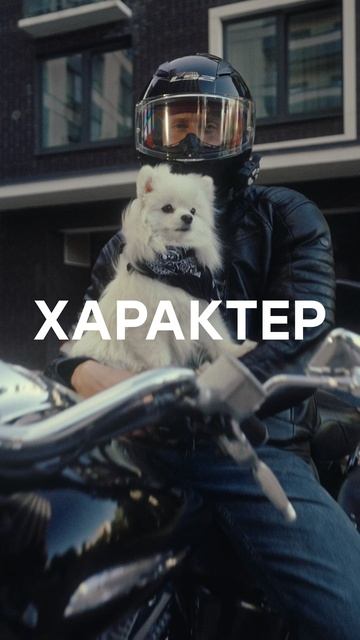 Характер_девелопмент