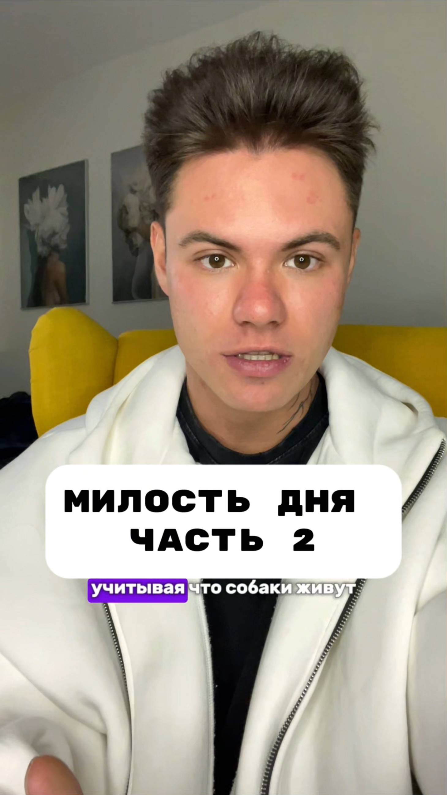 Если увидите их, обязательно подойдите