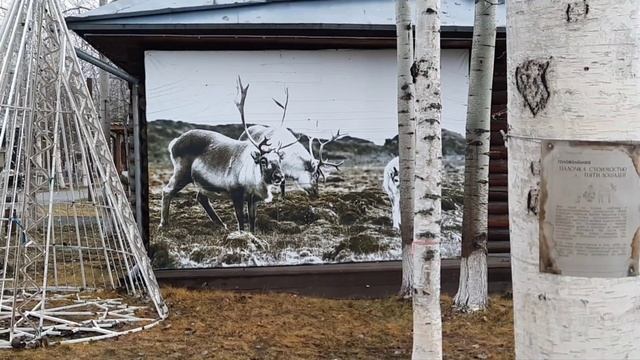 ГОЛОВОЛОМКА ПЯТИ ЛОШАДЕЙ