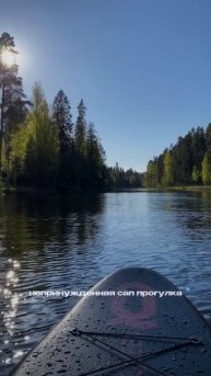 Зачем выбирать между залом, пробежкой или йогой, если можно совместить всё это на воде?