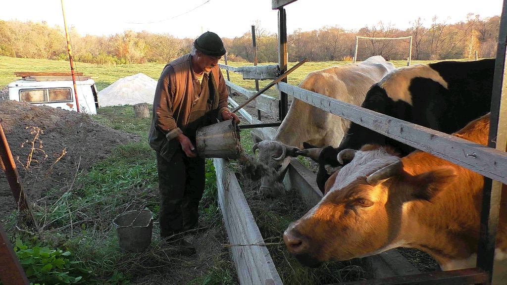 как мы готовим корм