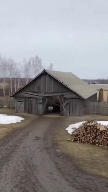 Мечта Полёт