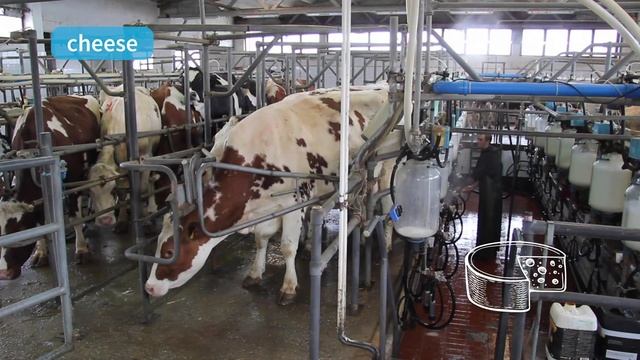 SM2ed 1 4.9 Food Think and learn