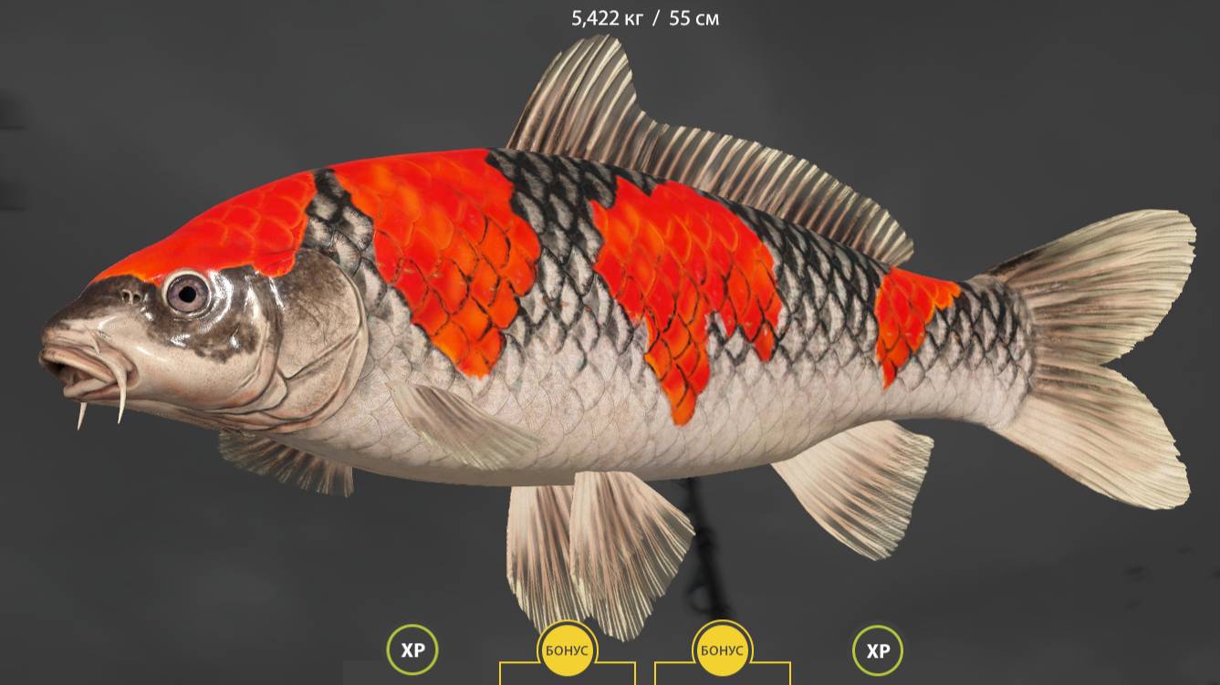 Русская Рыбалка 4 !!! Медное !!!