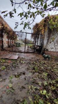 Вчера вечером приехала ЛИСУНЯ 🥰 🐕 это скромная девочка темного окраса ❤️ утром вышли гулять