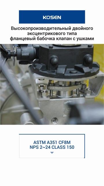 ASTM A351 CF8M NPS 2~24 CLASS 150 Высокопроизводительный двойного эксцентрикового типа -KOSEN