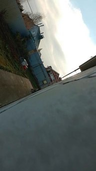 стеснительная собака 😅