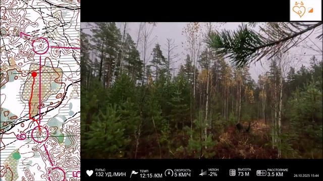 Петербургская осень. 2025-10-26