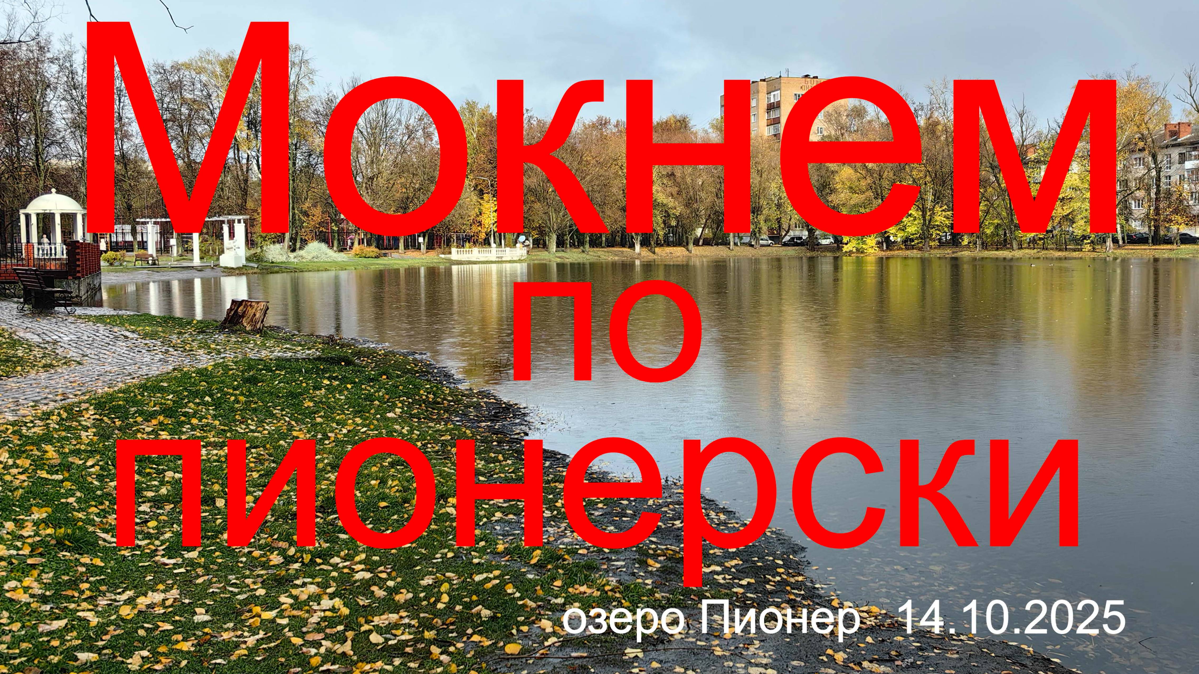 Мокнем по пионерски 14.10.2025. оз. Пионер Рыбалка в Подмосковье