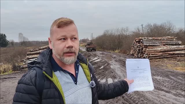 Как древесные отходы из Наволок поехали не на полигон, а к соседней деревне
