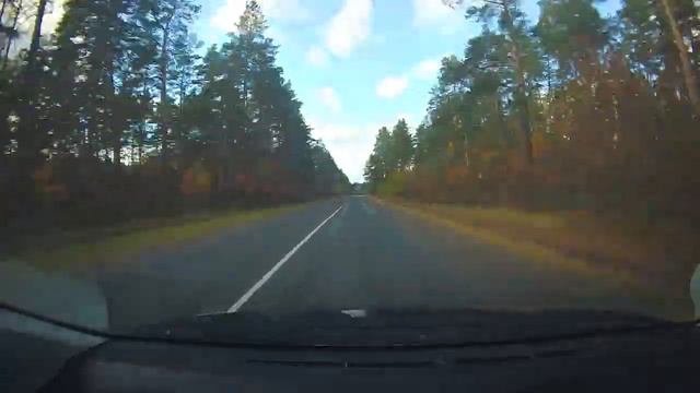 Путешествие по Беларуси. От Гомеля до Витебска. День 3. 26.10.2025. 4/11