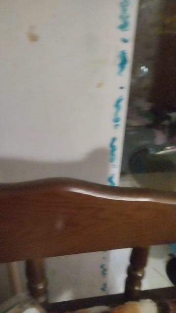 дом милы дом