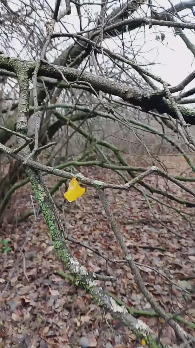 я дрожала как дрожалка