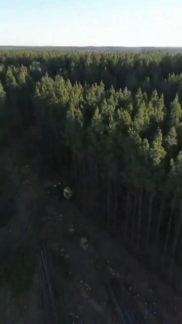 Видео от HackAvto – Лайфхаки и фишки для авто