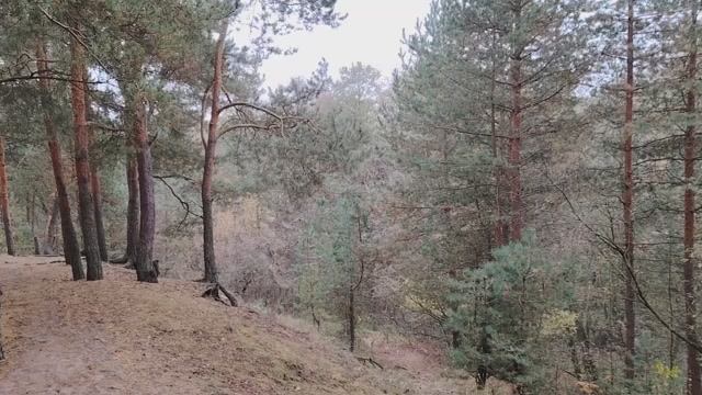 Мошенничество в наши дни. Немного о финансовой грамотности