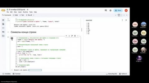 Основы алгоритмизации и прикладное программирование. 31 октября 2025_1
