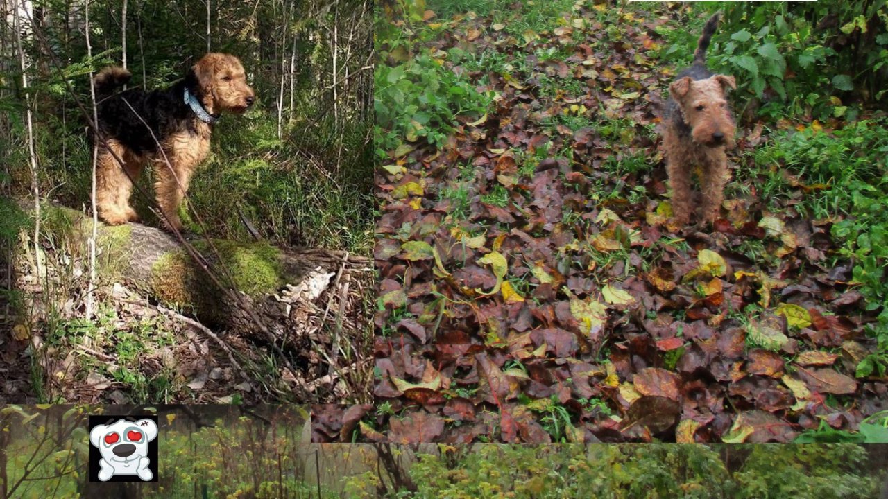 Октябрь-2025 уходит дождями, а мы о хорошем.