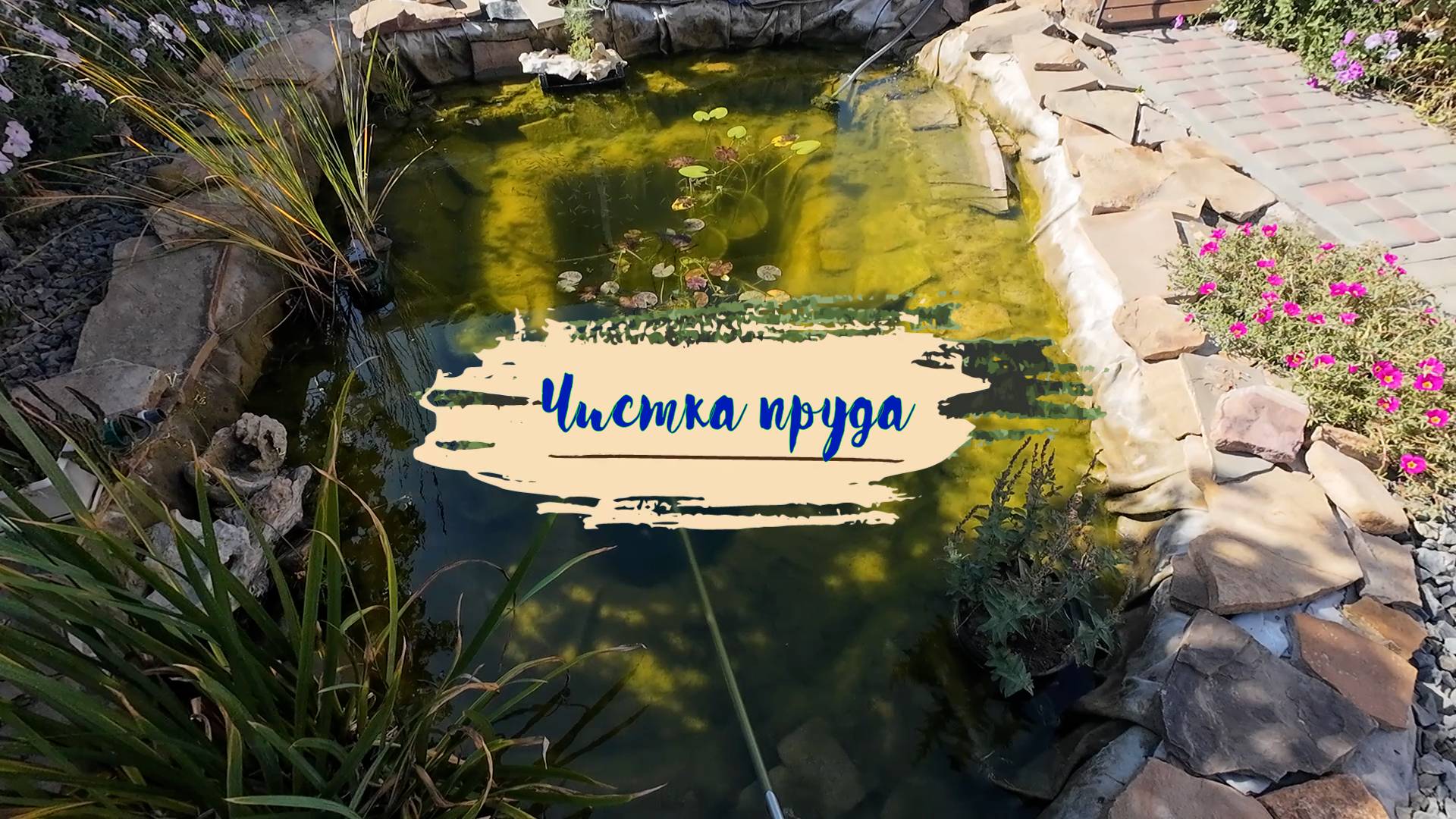 Чистка пруда.