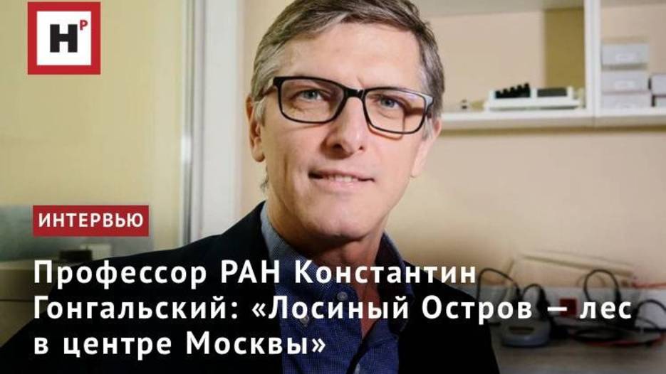 Профессор РАН Константин Гонгальский: «Лосиный Остров — лес в центре Москвы»