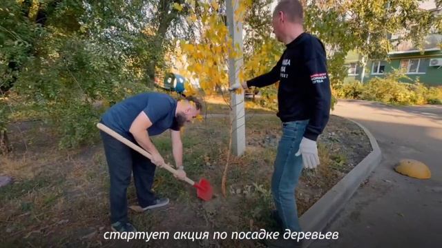 Пенза становится зеленее