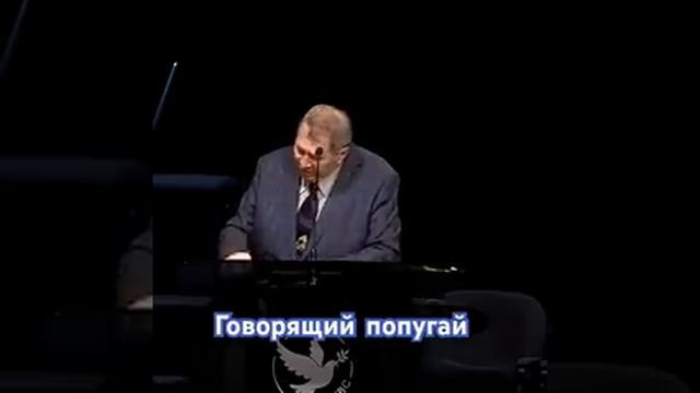 МОЛИТВА из клюва попугая