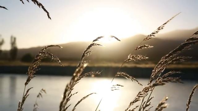 Обними меня крепче