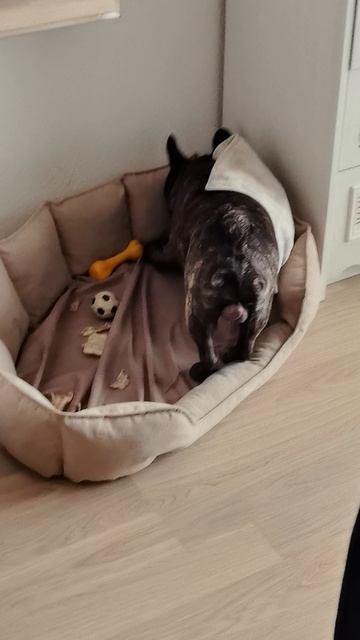 УДОВОЛЬСТВИЕ от ОБЕДА у Краша