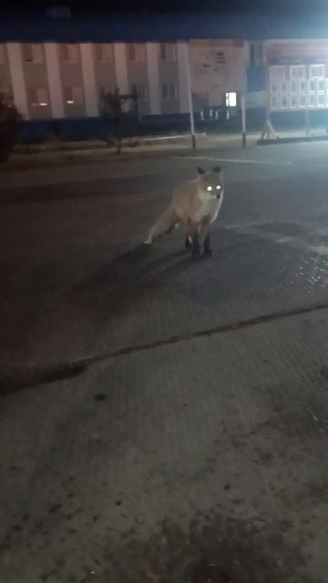 Родненькая! 😍