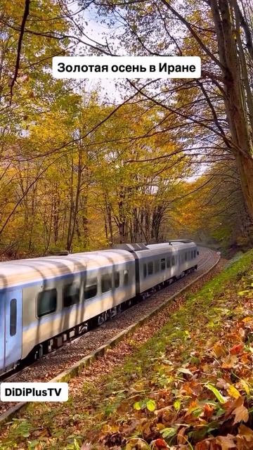 Золотая осень в Иране. #travel #tehran #иран #iran #путешествия #music #DiDiPlusTV