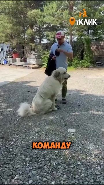 Отвечаем на агрессию!