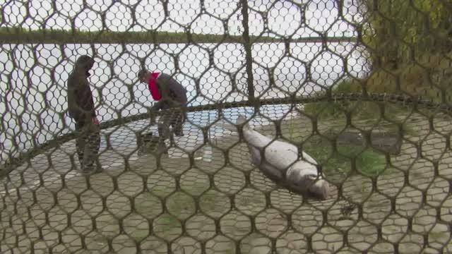 Подготовка ТимБуханки к зимней рыбалке.