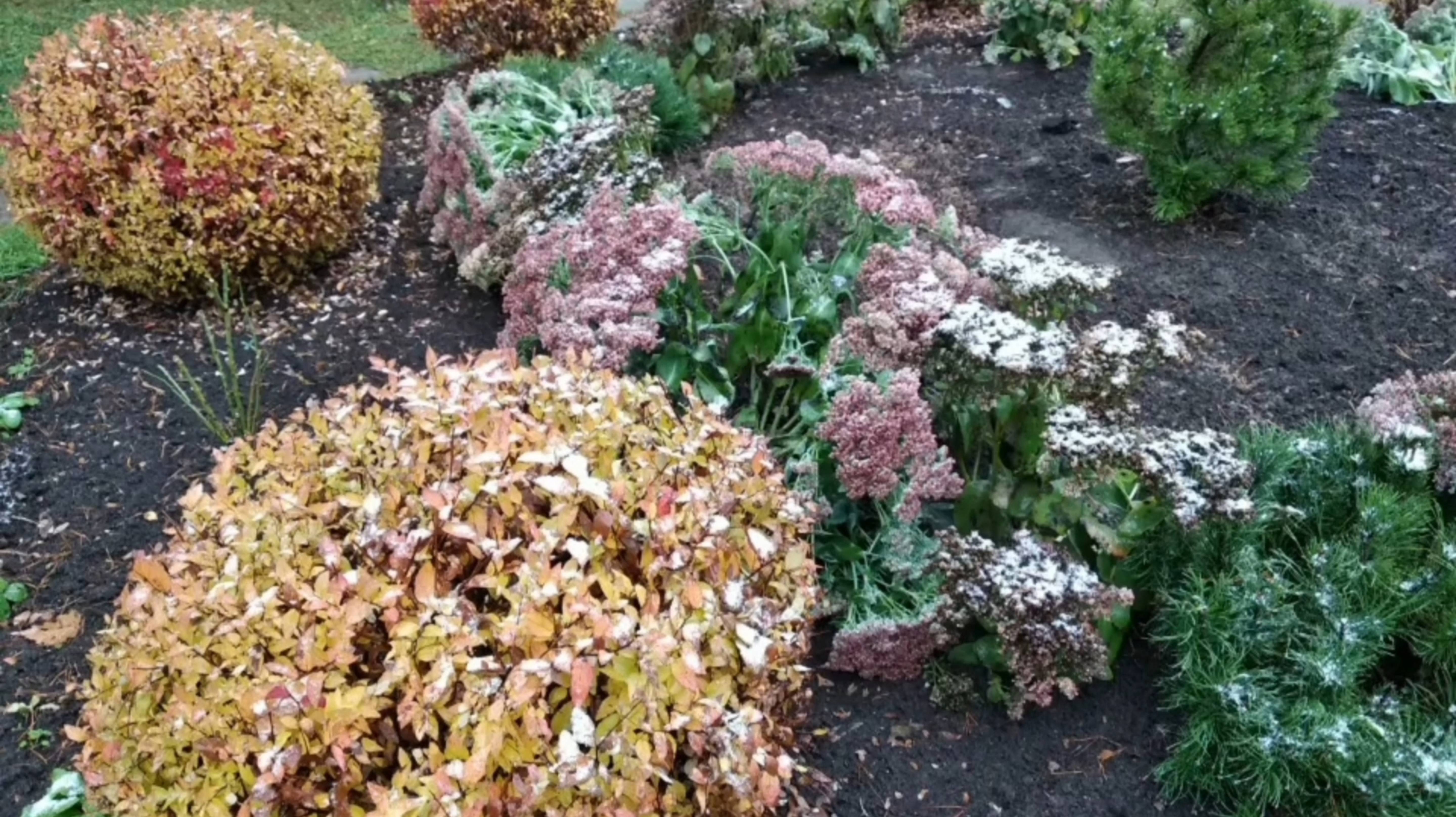 ПРОСТО НОЯБРЬ... ЗАСНЕЖИЛО....