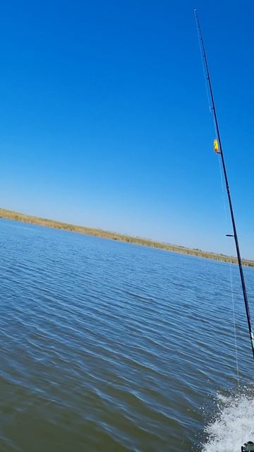 Рыбалка на лодке Воронеж на Курячем лимане в Краснодарском крае.