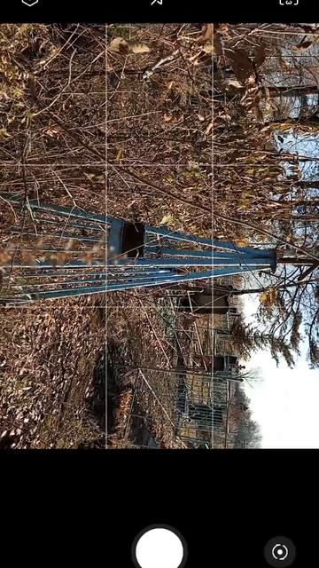 ГисРегион Мобильная программа 2025 Начало нового ряда