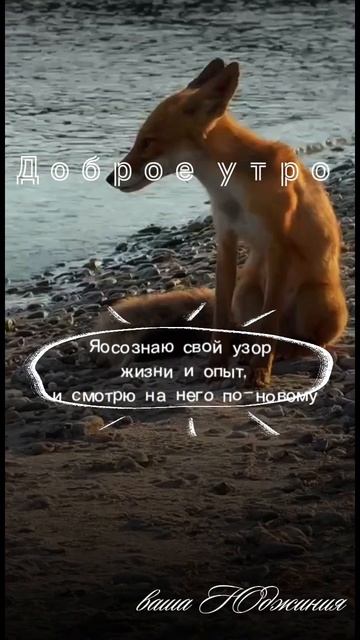 СЕГОДНЯ день непростой — энергетически напряжённый и требующий максимальной осторожности.