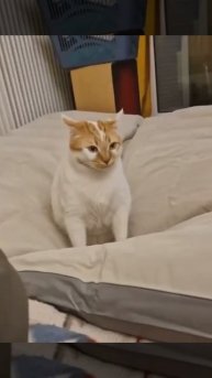 Долго мне еще ждать?