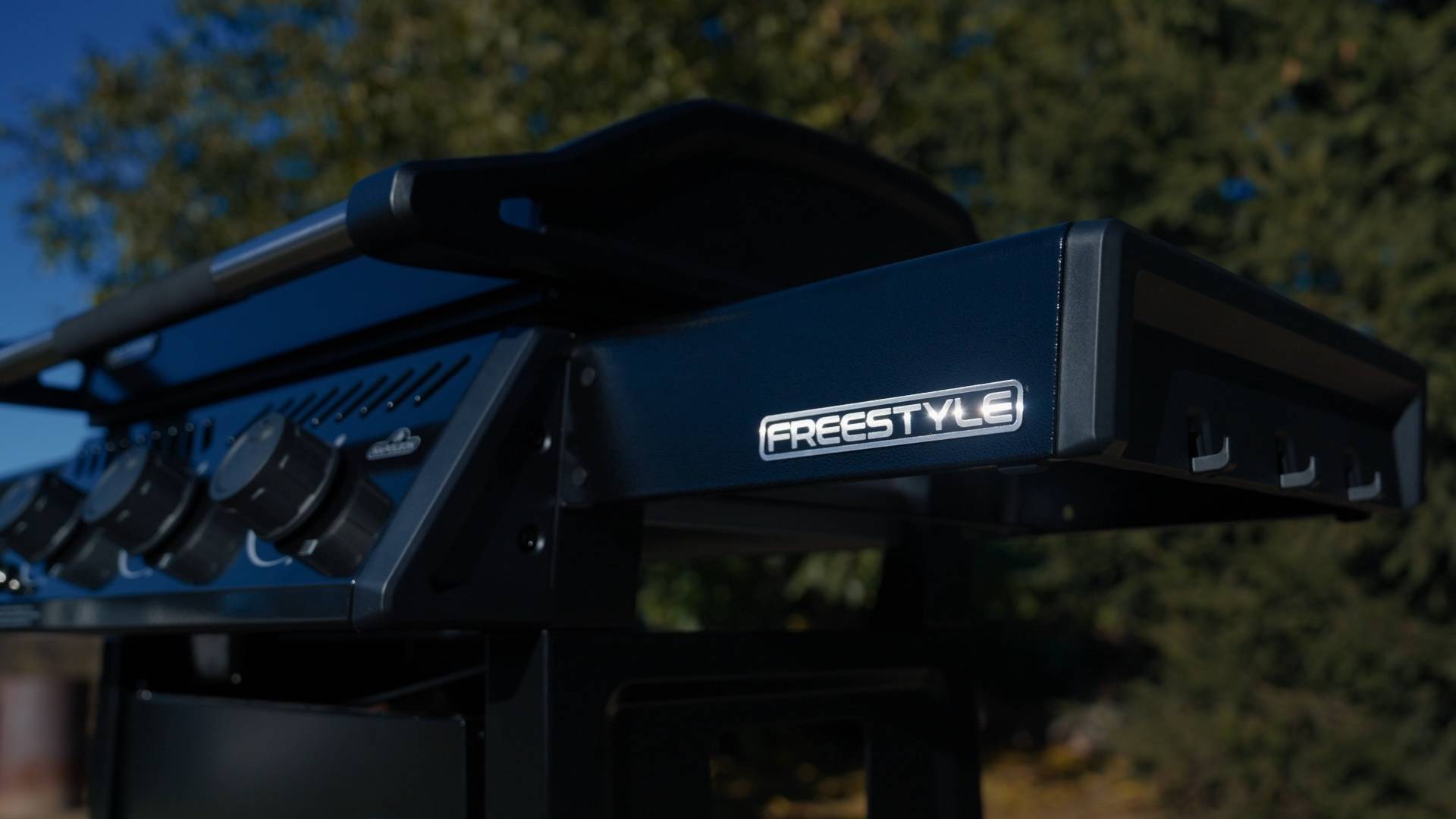 Обзор газового гридля Napoleon Freestyle 24