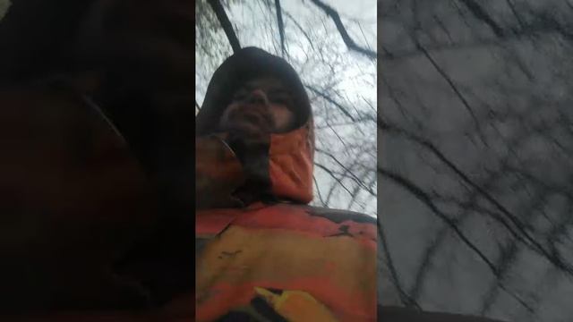 Мы идём гулять с собакой! | 2-ноя-2025, 2