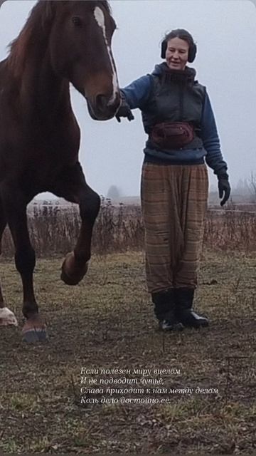 01.11.25 АЗ #ниднябезрифмы