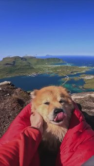 Просыпайся, просыпайся, маленький пушистый комочек.😍🐾